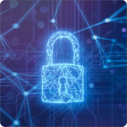 Advanced Cyber Security